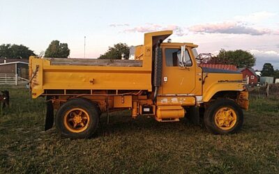 Auction for Chris Grant – September 7, 2019